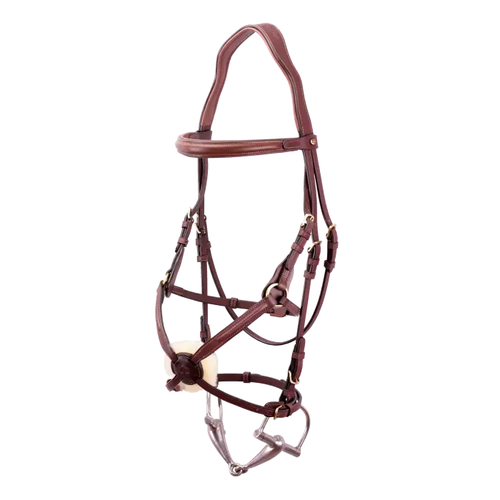 Bridlework Figure Eight