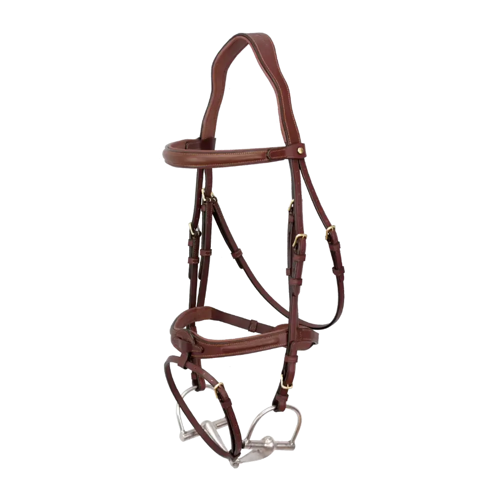 Bridlework Flash bridle