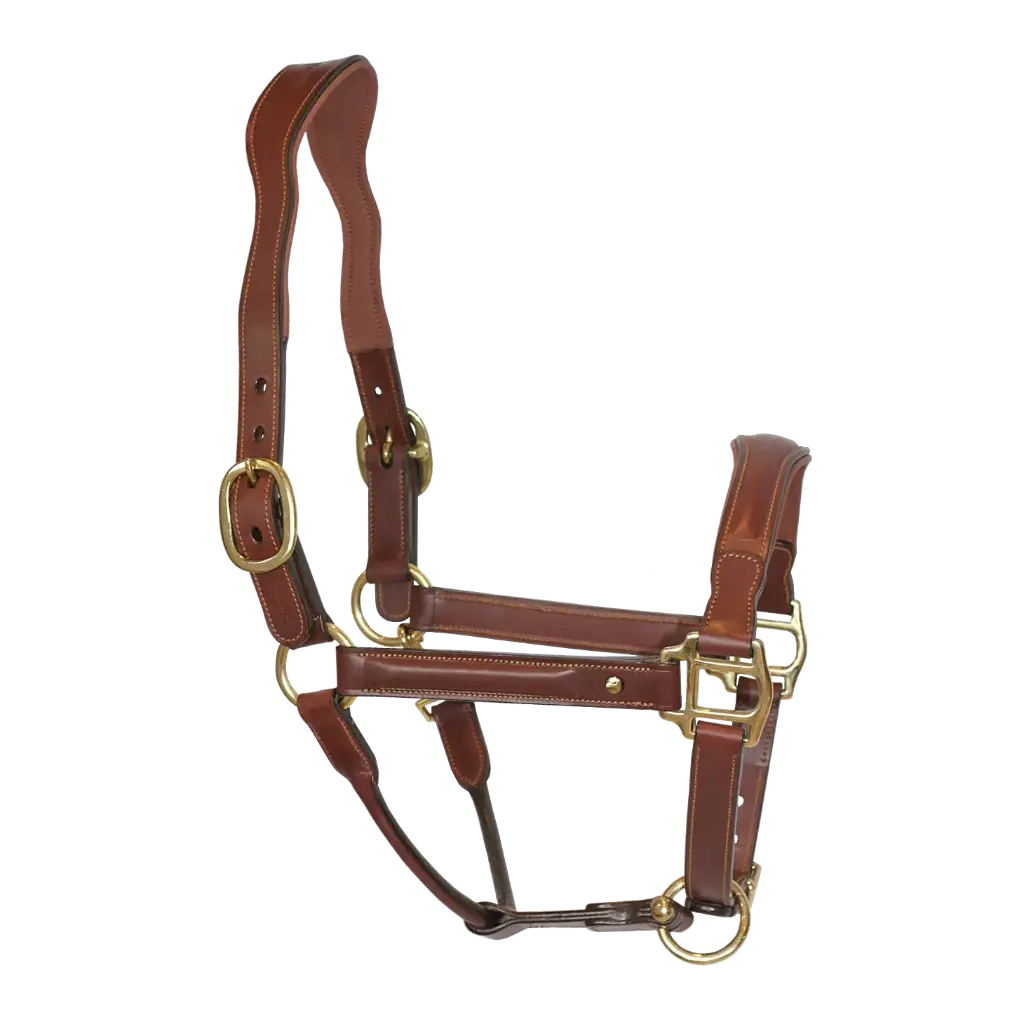 Bridlework Halter