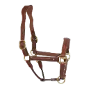 Bridlework Halter