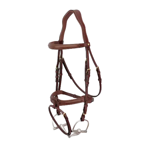 Bridlework Flash bridle